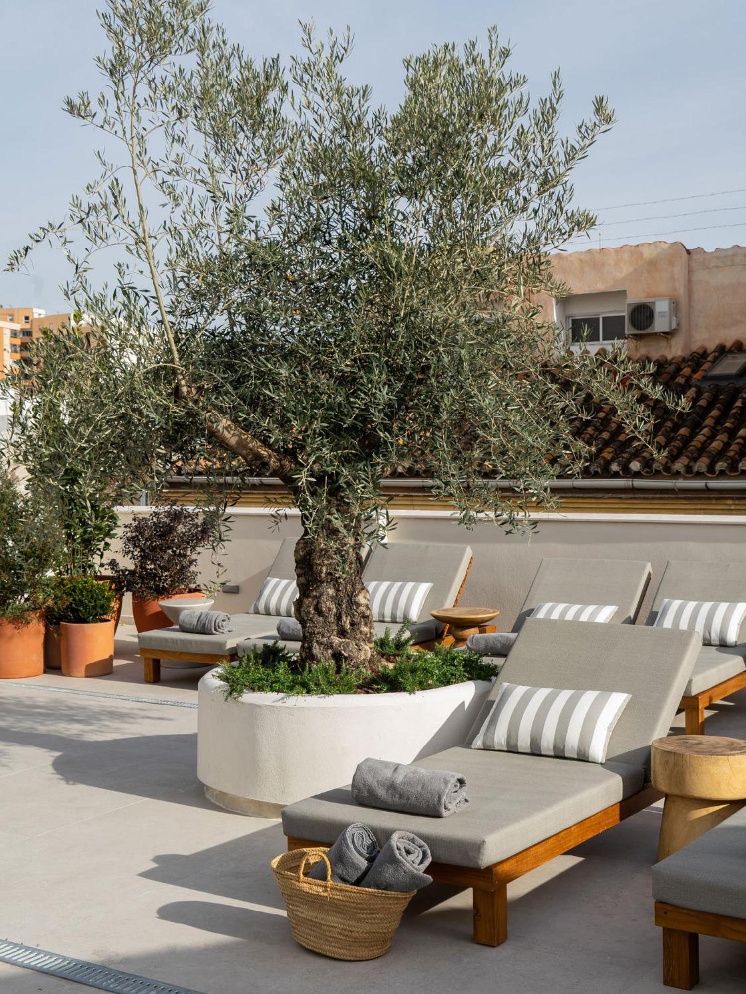 Hotel Well And Come Málaga Eksteriør billede